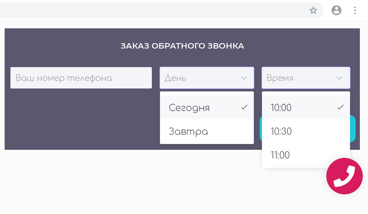 Website Integration